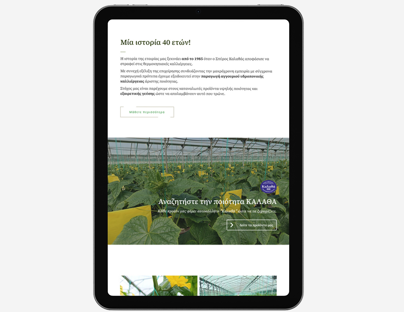 κατασκευή ιστοσελίδας αγγούρια